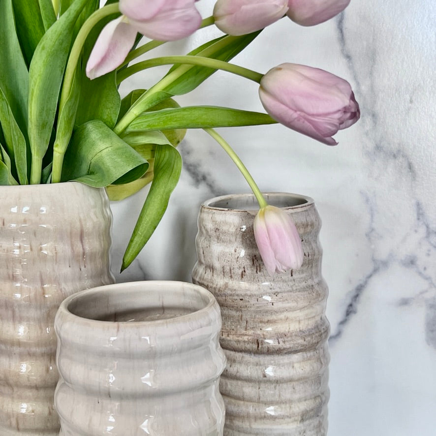 Vanilla Bean Vases